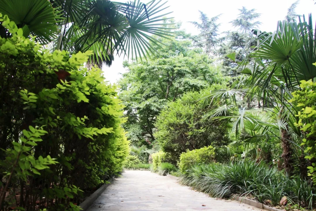 304am永利集团官网(中国)有限公司-Official Website