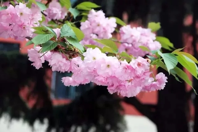 304am永利集团官网(中国)有限公司-Official Website