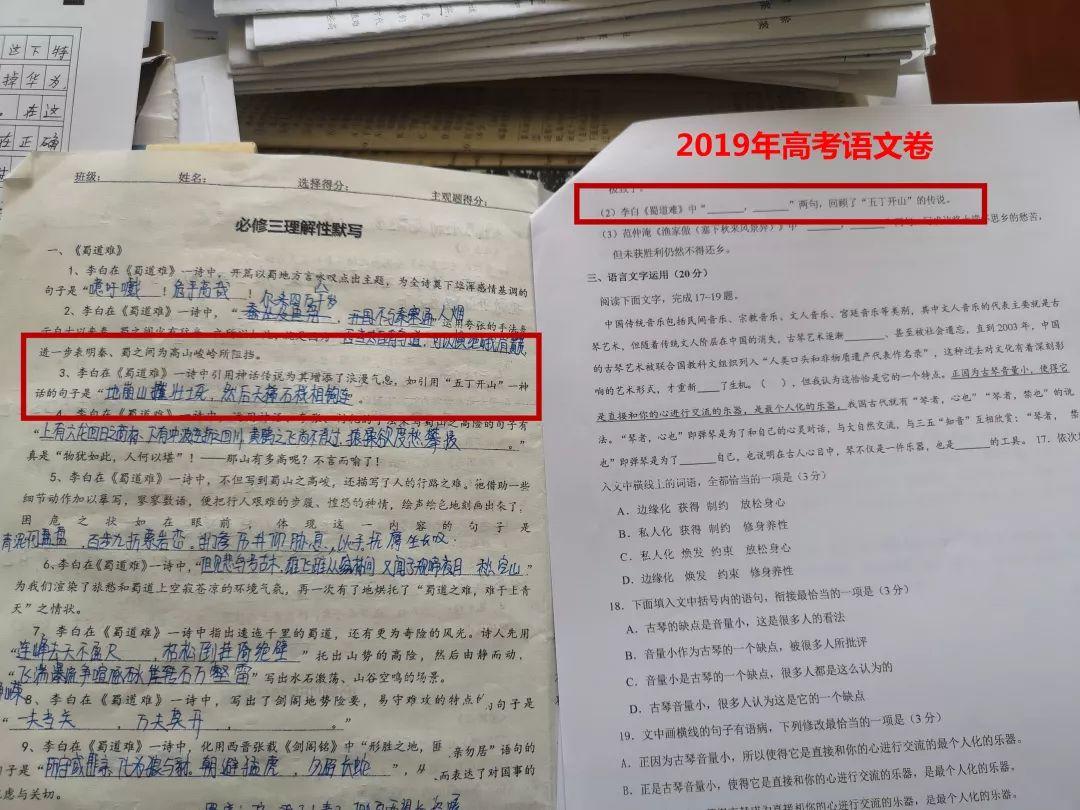 押中高考题、中考题？？？？？？？？！304am永利集团官网都会森林学校学校“硬核”实力圈粉无数！