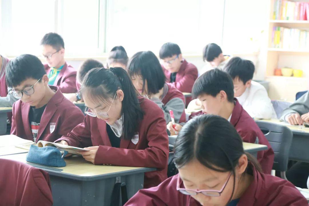 你与清华北大之间只隔了个304am永利集团官网都会森林学校！