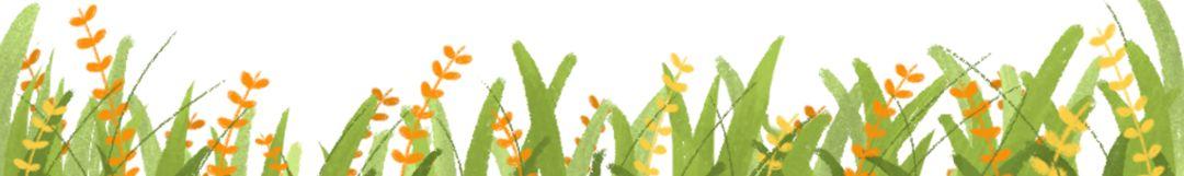 喜报！304am永利集团官网都会森林学校期末考试再创佳绩！