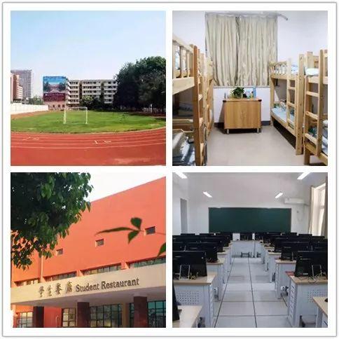 喜报！304am永利集团官网都会森林学校期末考试再创佳绩！