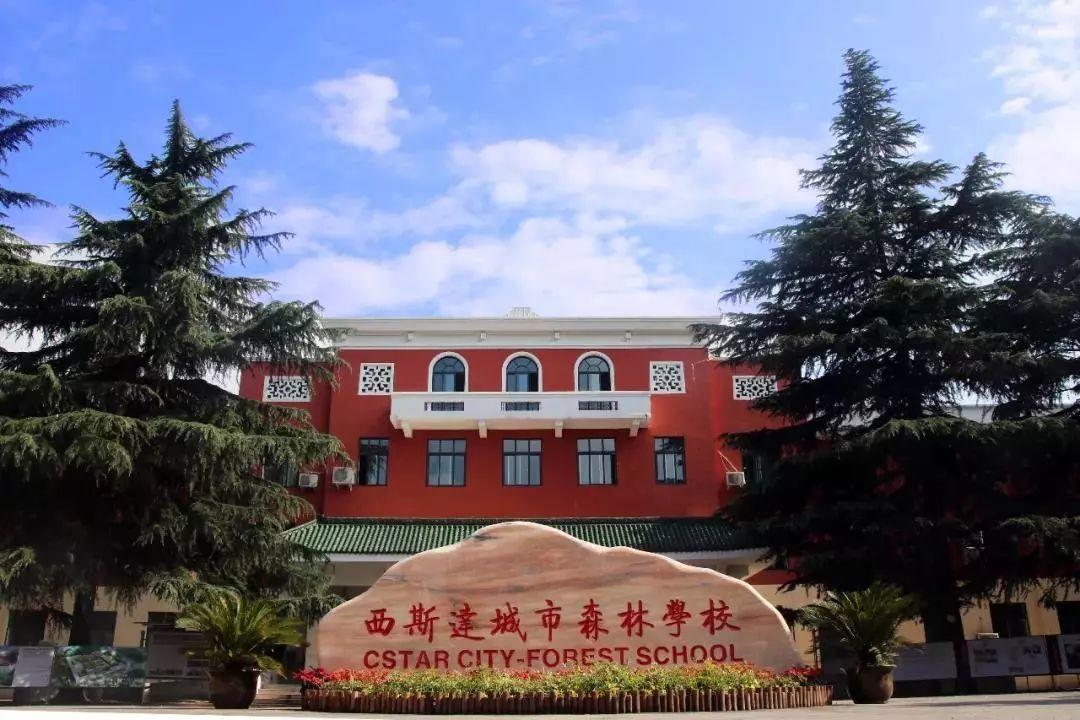 你与清华北大之间只隔了个304am永利集团官网都会森林学校！