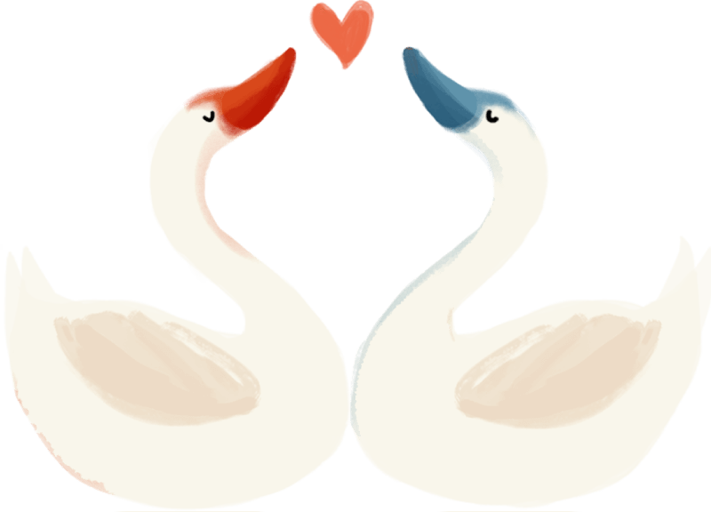 你与清华北大之间只隔了个304am永利集团官网都会森林学校！