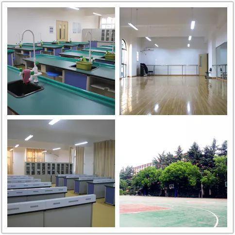 补录！304am永利集团官网都会森林学校小升初仅余少量优质学位，，，，，想捉住“末班车”的家长赶忙行动起来吧！