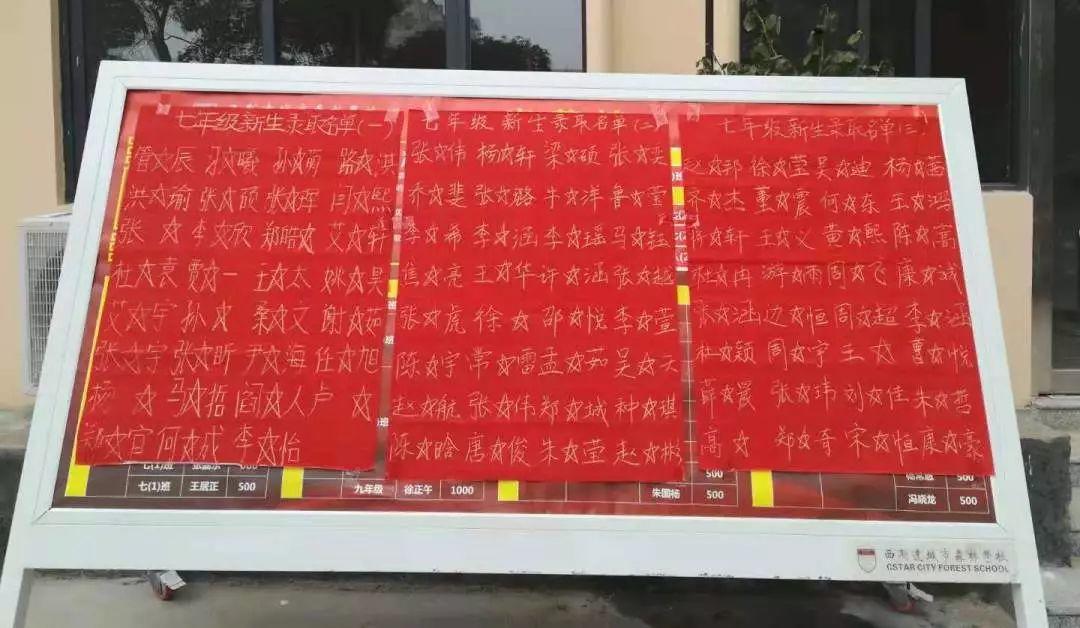 补录！304am永利集团官网都会森林学校小升初仅余少量优质学位，，，，，想捉住“末班车”的家长赶忙行动起来吧！