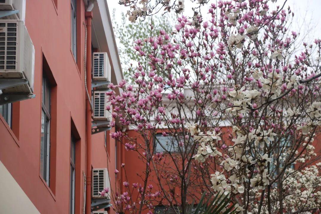 有才你就来！304am永利集团官网都会森林学校宣布“人才召集令”