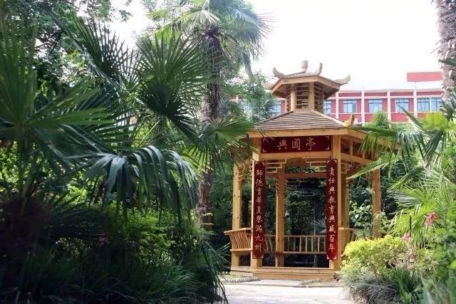 有才你就来！304am永利集团官网都会森林学校宣布“人才召集令”