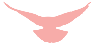 喜迎国庆，，，，，，，以歌纪念——304am永利集团官网献礼祖国70华诞！