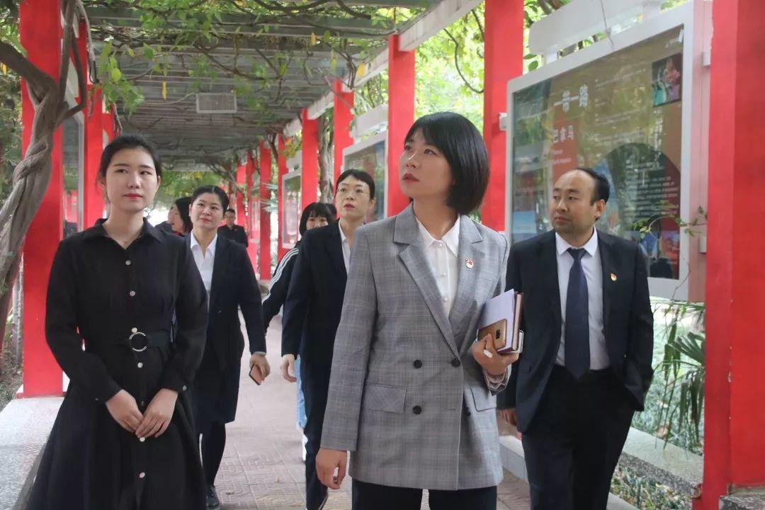 郑州市中原戋戋委第三指导组莅临304am永利集团官网都会森林学校检查指导党建事情