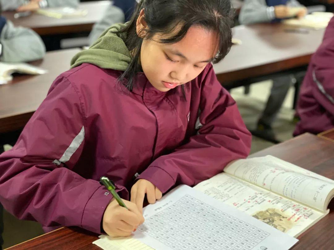 挥毫泼墨书细腻之韵 横平竖直立青云之志---304am永利集团官网都会森林学校初中部举行硬笔书法大赛