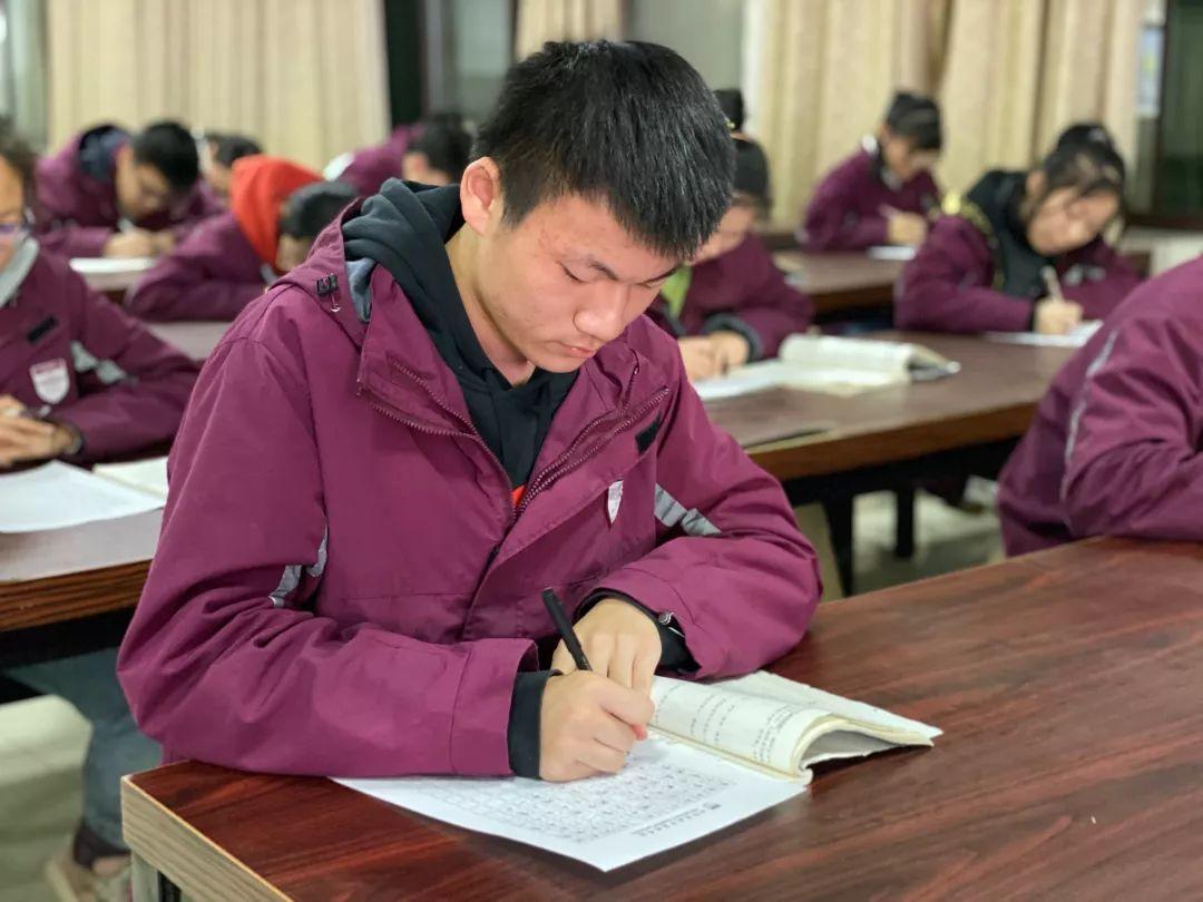 挥毫泼墨书细腻之韵 横平竖直立青云之志---304am永利集团官网都会森林学校初中部举行硬笔书法大赛