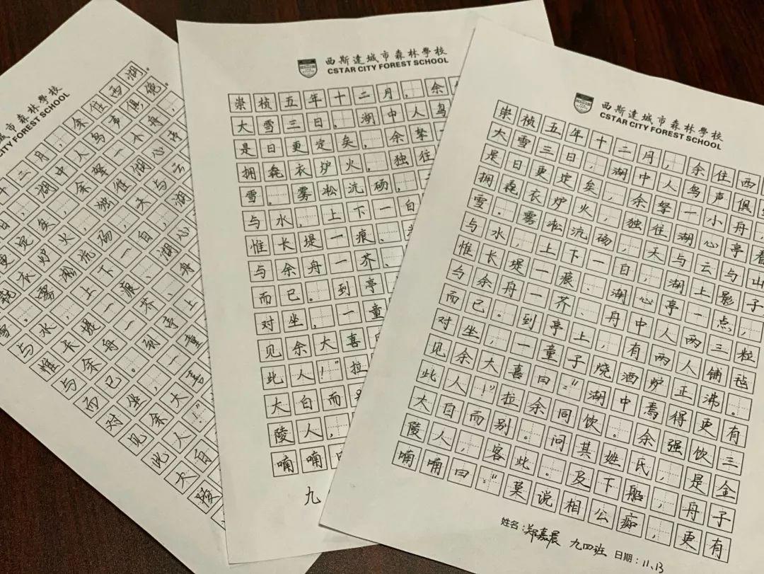 挥毫泼墨书细腻之韵 横平竖直立青云之志---304am永利集团官网都会森林学校初中部举行硬笔书法大赛