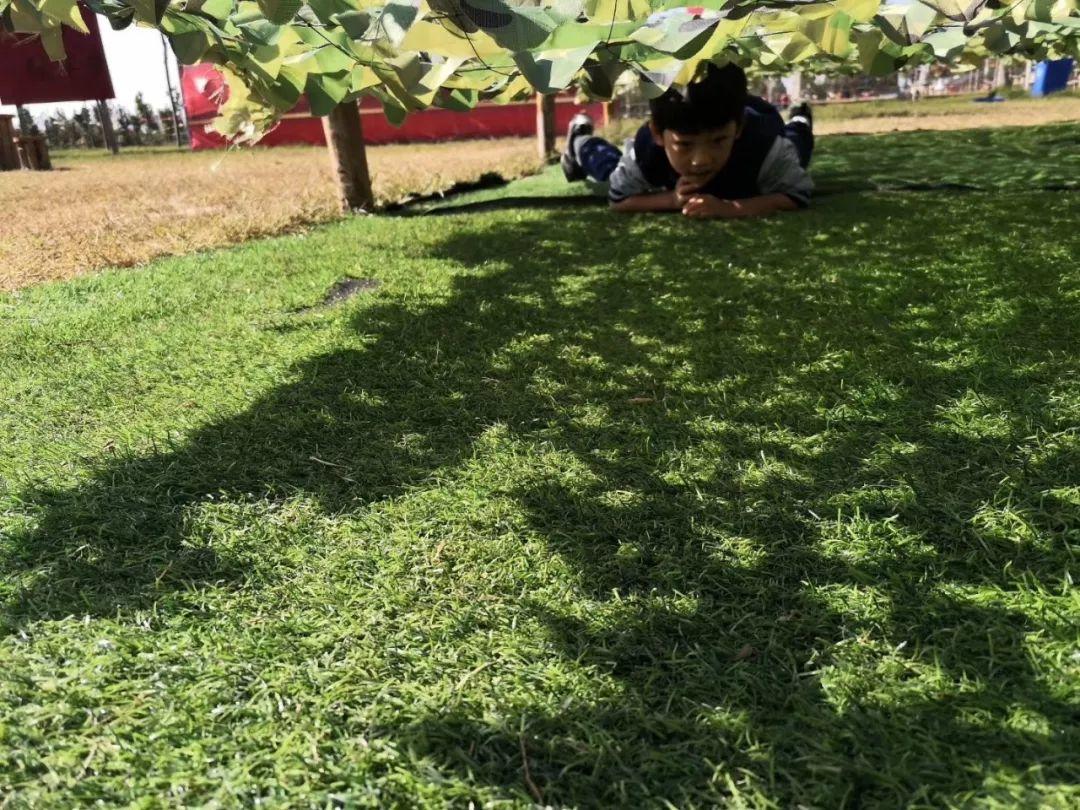 304am永利集团官网多元素养秋季亲子户外研学营——让孩子快乐学习！