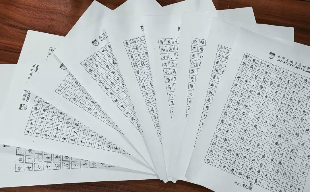 挥毫泼墨书细腻之韵 横平竖直立青云之志---304am永利集团官网都会森林学校初中部举行硬笔书法大赛