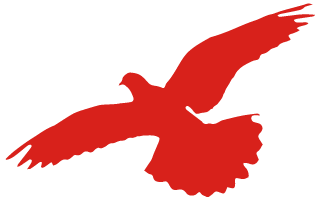 304am永利集团官网都会森林学校召开“不忘初心、切记使命”专题组织生涯会