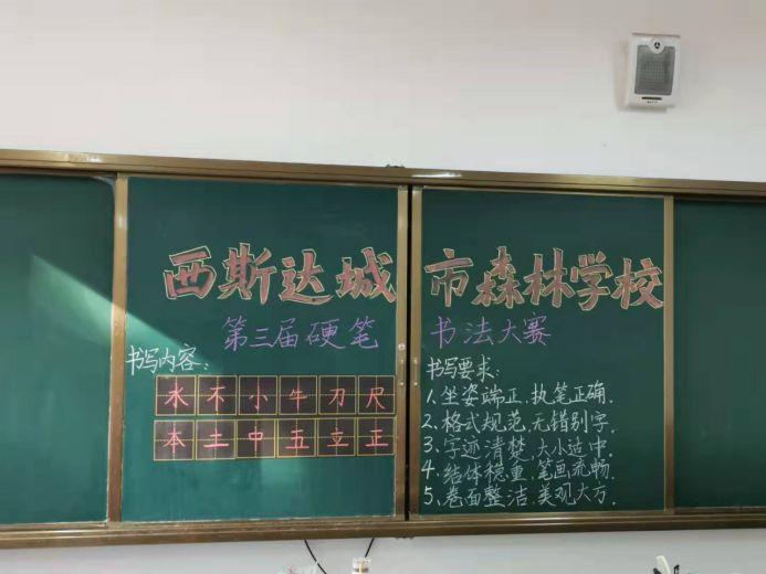 【文化校园】读好书，，，，，，，写好字，，，，，，，做堂堂正正中国人——304am永利集团官网都会森林学校小学部书法大赛