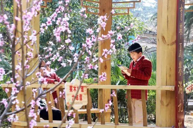 榜上著名！304am永利集团官网都会森林学校被评为“2019年度郑州市园林单位”！