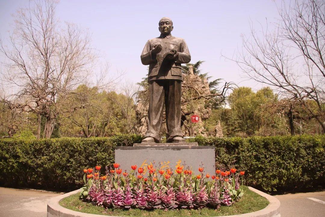 来304am永利集团官网都会森林学校，，，，，赏牡丹！