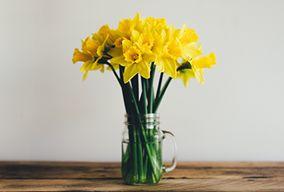 春意渐浓，，，，，“研”途优美