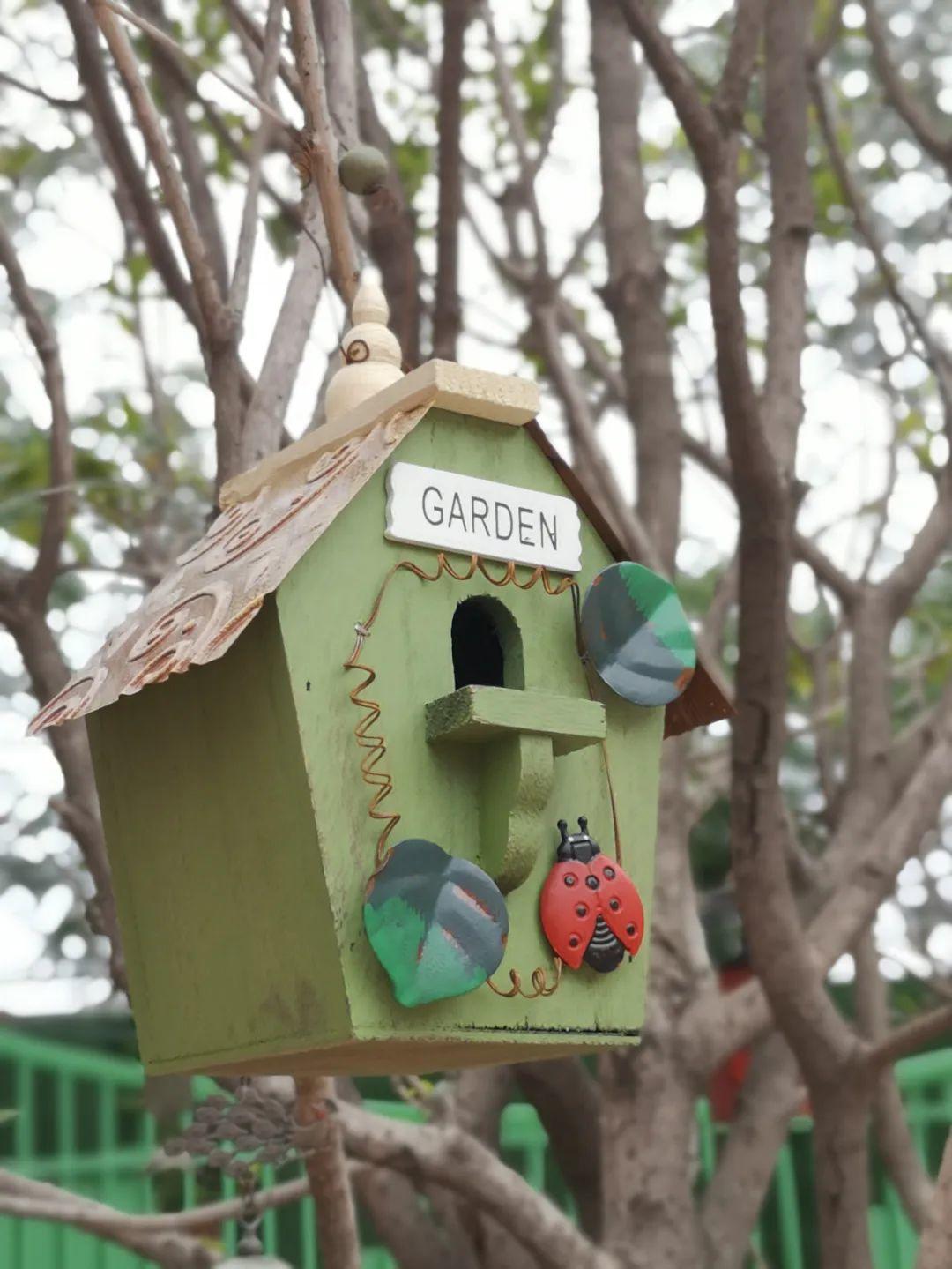 云赏花丨春天里的校园，，，，，和影象中一样美