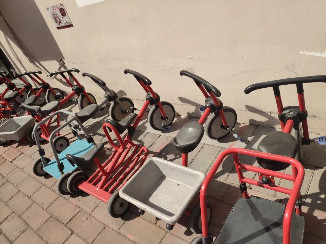 云赏花丨春天里的校园，，，，，和影象中一样美