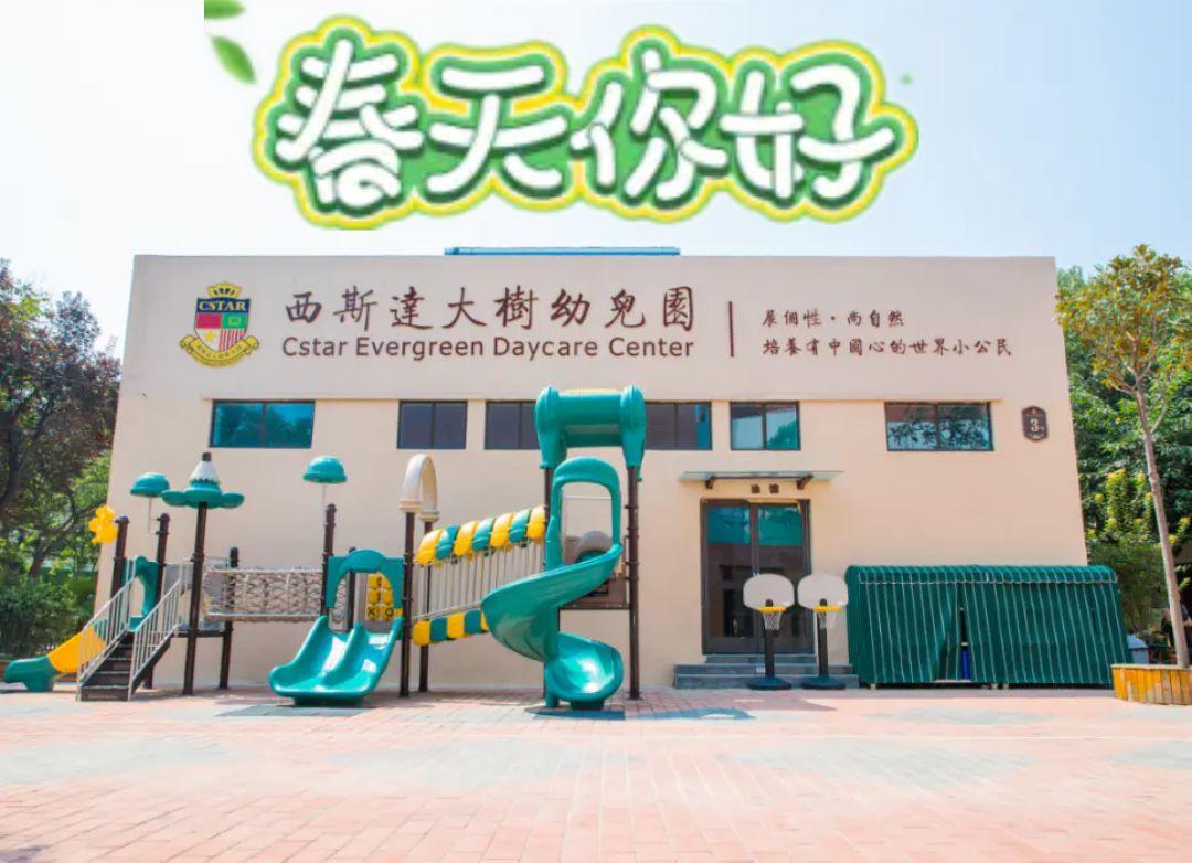 云赏花丨春天里的校园，，，，，和影象中一样美