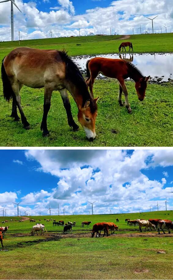 304am永利集团官网(中国)有限公司-Official Website