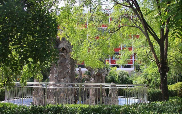 304am永利集团官网(中国)有限公司-Official Website