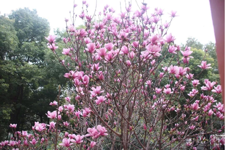 304am永利集团官网(中国)有限公司-Official Website