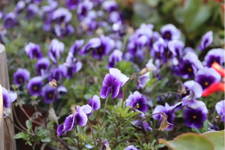 304am永利集团官网(中国)有限公司-Official Website