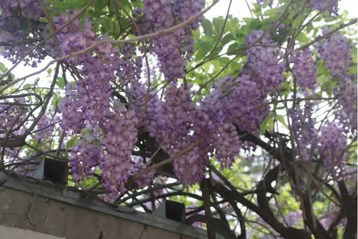 304am永利集团官网(中国)有限公司-Official Website