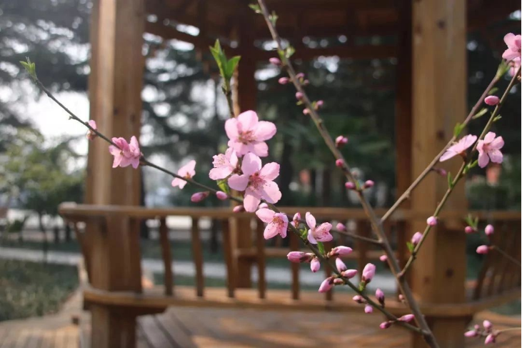 304am永利集团官网(中国)有限公司-Official Website