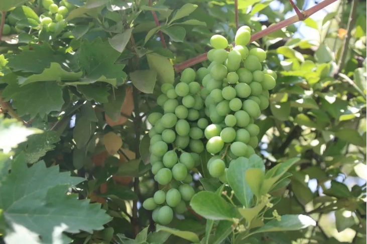 304am永利集团官网(中国)有限公司-Official Website