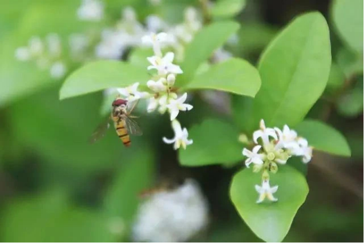 304am永利集团官网(中国)有限公司-Official Website