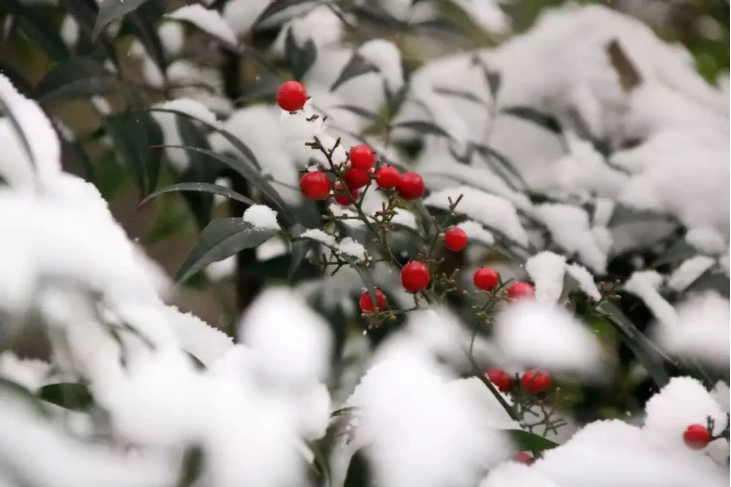 304am永利集团官网(中国)有限公司-Official Website