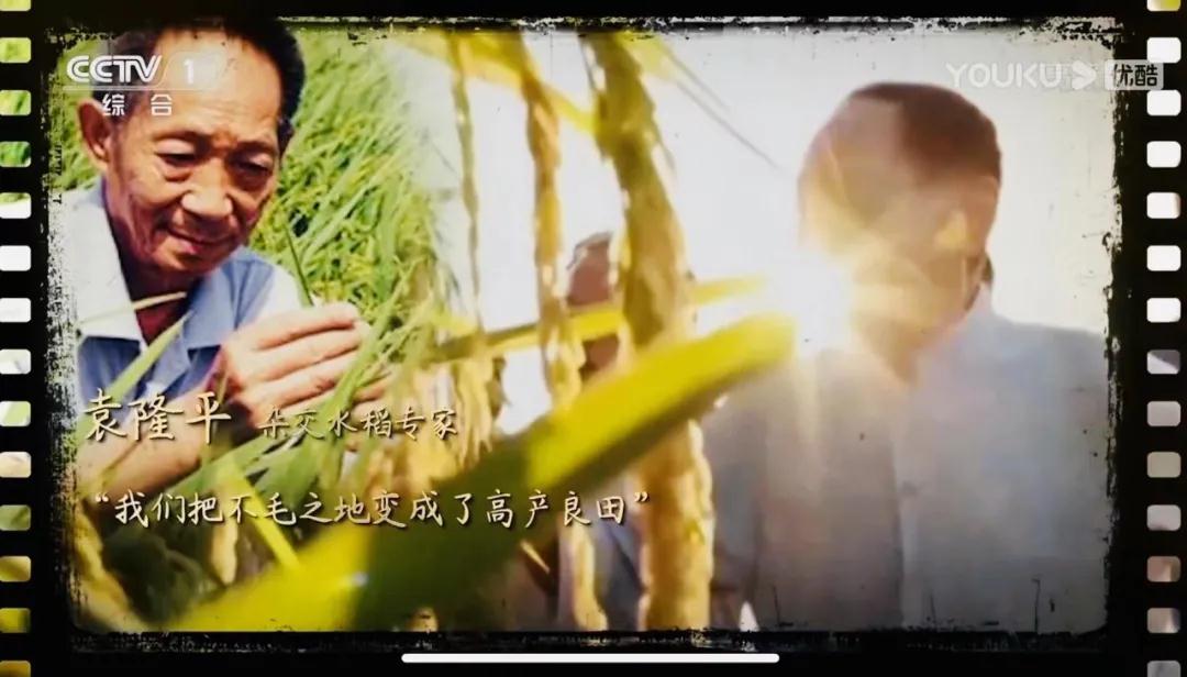 304am永利集团官网(中国)有限公司-Official Website