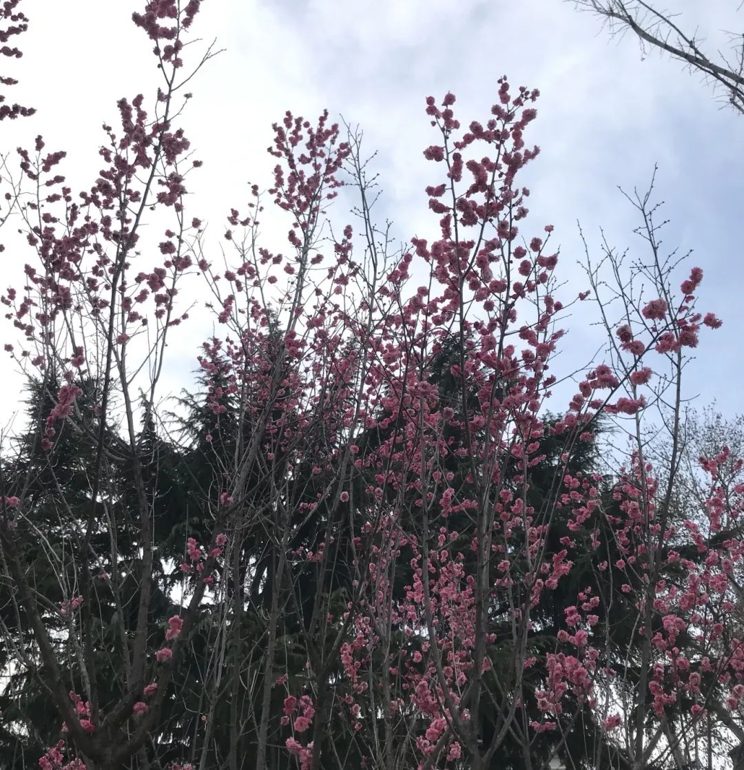 304am永利集团官网(中国)有限公司-Official Website