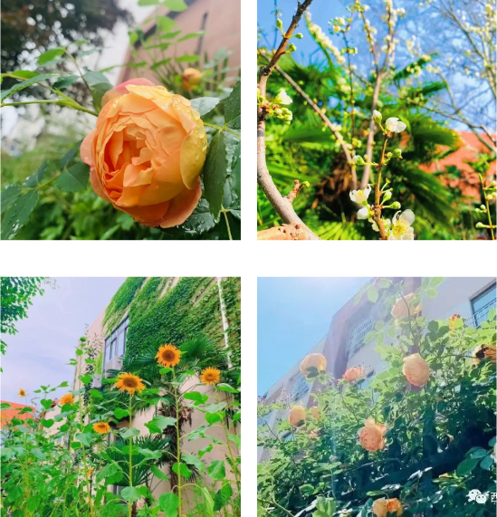 304am永利集团官网(中国)有限公司-Official Website