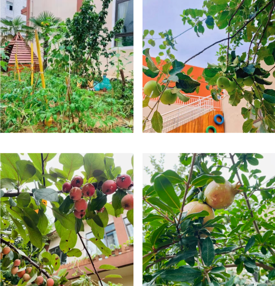 304am永利集团官网(中国)有限公司-Official Website